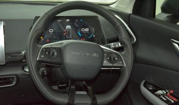 
										2024 BAIC Beijing X55 1.5T Elite full									